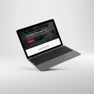 Website for Usługi Transportowe Witaszek
