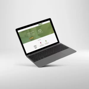 Website for NaturalTherapy
